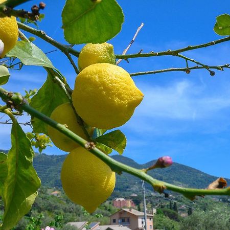 فيلا Casa Limoni مونتيروسّو ال ماري المظهر الخارجي الصورة