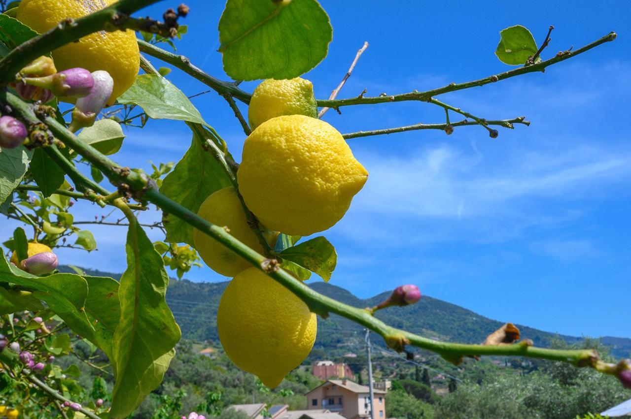 فيلا Casa Limoni مونتيروسّو ال ماري المظهر الخارجي الصورة